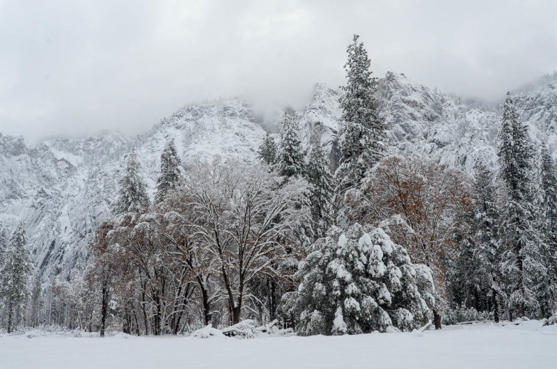 DSC_8952 MLR2019.jpg