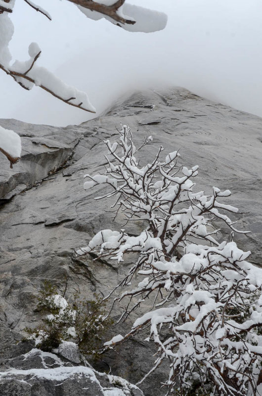 DSC_8970 MLR2019.jpg