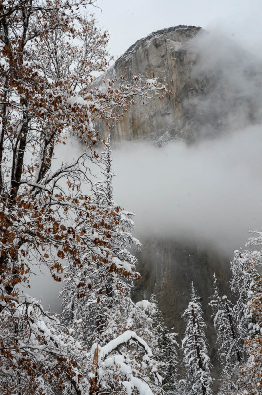 DSC_8975 MLR2019.jpg