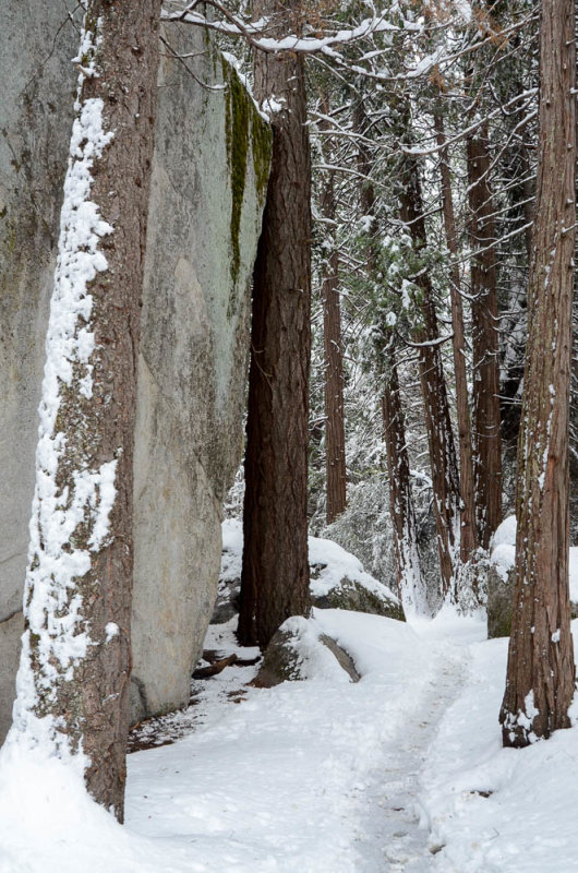 DSC_9007 MLR2019.jpg