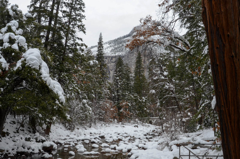 DSC_9015 MLR2019.jpg