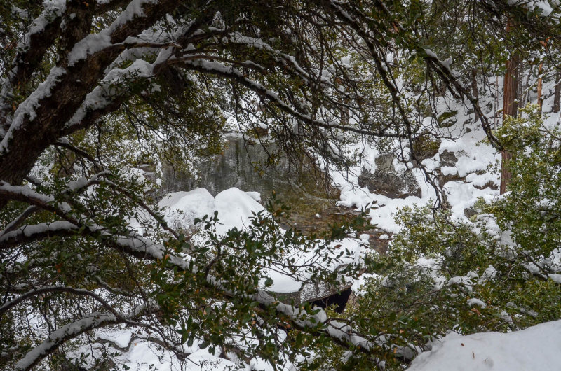DSC_9025 MLR2019.jpg