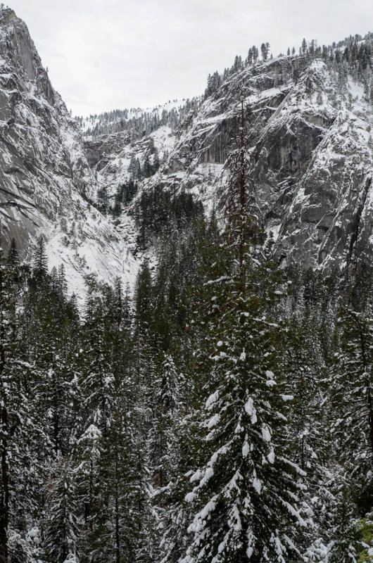 DSC_9030 MLR2019.jpg