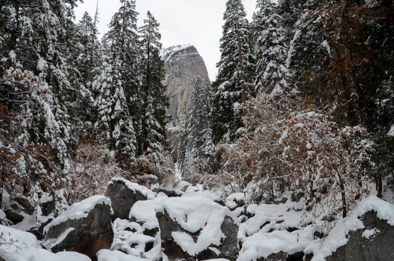 DSC_9034 MLR2019.jpg