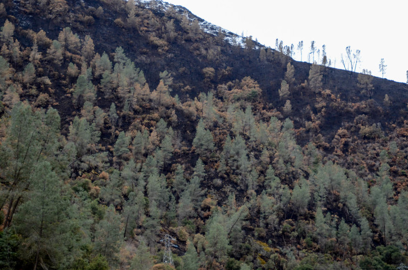 DSC_9060 MLR2019.jpg
