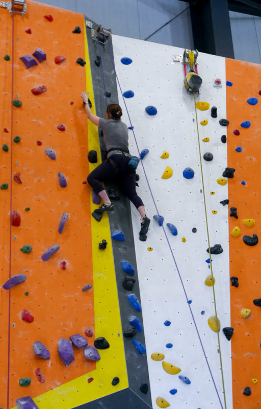 P1240863 MLR2020.jpg