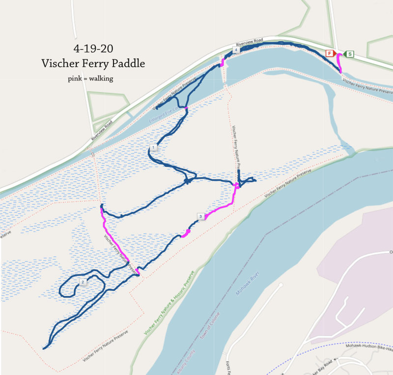 4-19-20 Vischer ferry paddle.jpg