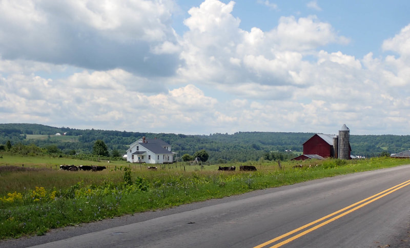 P7120753 TG6MLR2020.jpg