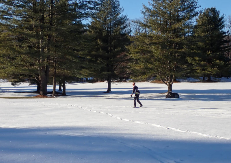 P1073281 TG6MLR2020.jpg