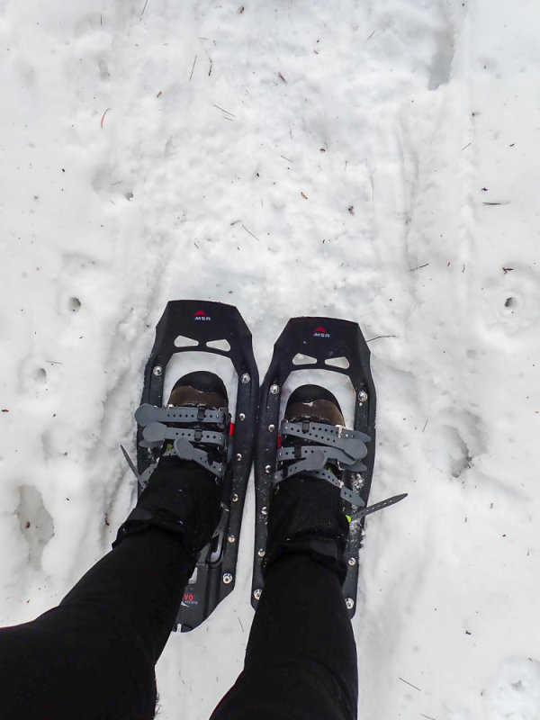 P1103325 TG6MLR2020.jpg