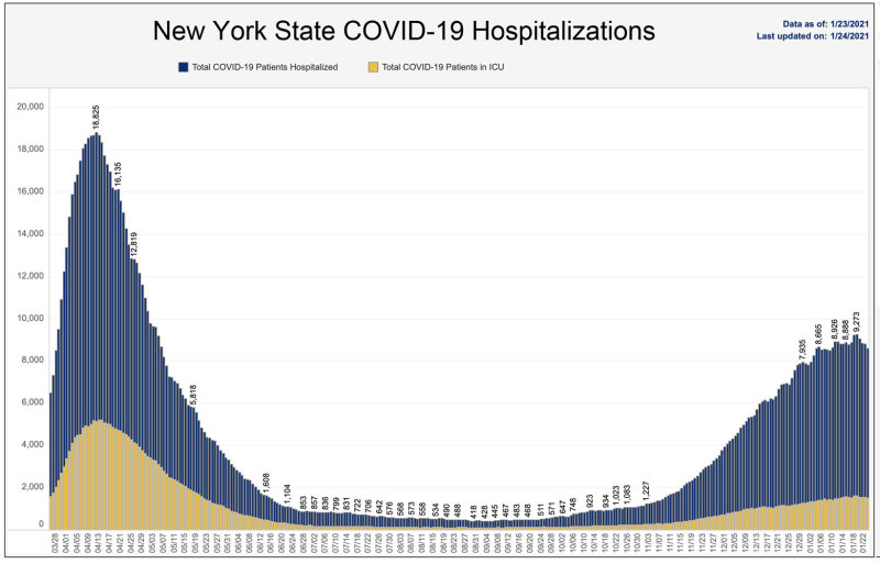 1-24-20 NYS hospitalizations.jpg