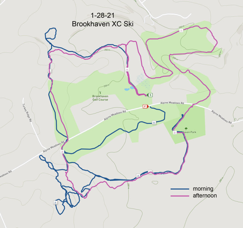 1-28-21 skimap.jpg