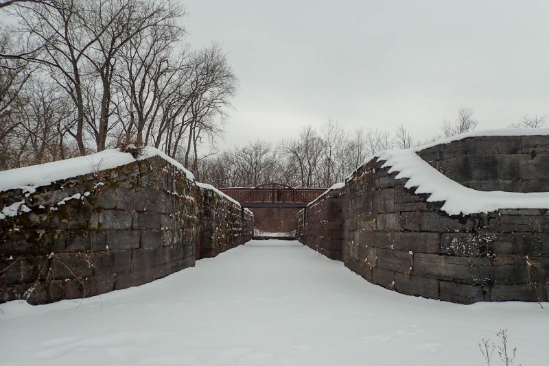 P2194042 TG6MLR2020.jpg
