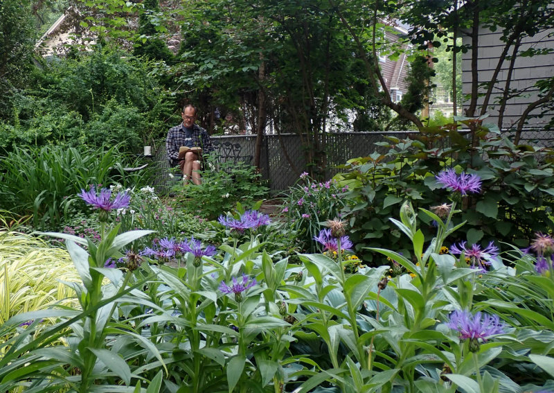 P6134840 TG6MLR2020.jpg