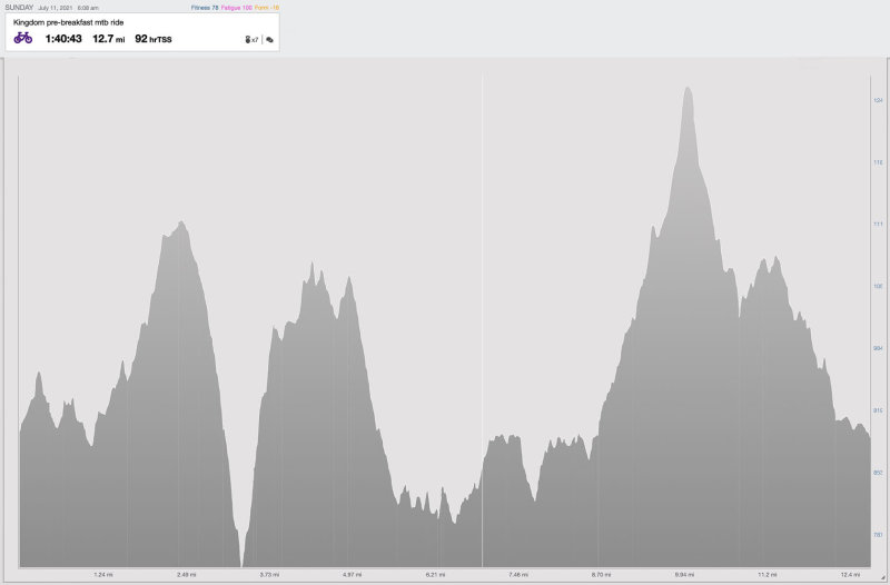 7-11-21 pre-breakfast elevation.jpg