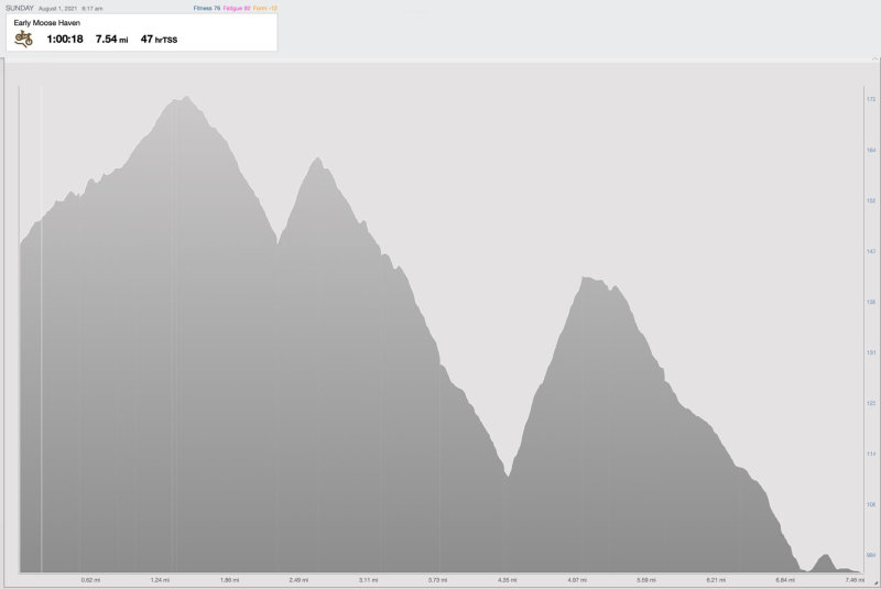 8-1-21 early moose haven elevation.jpg