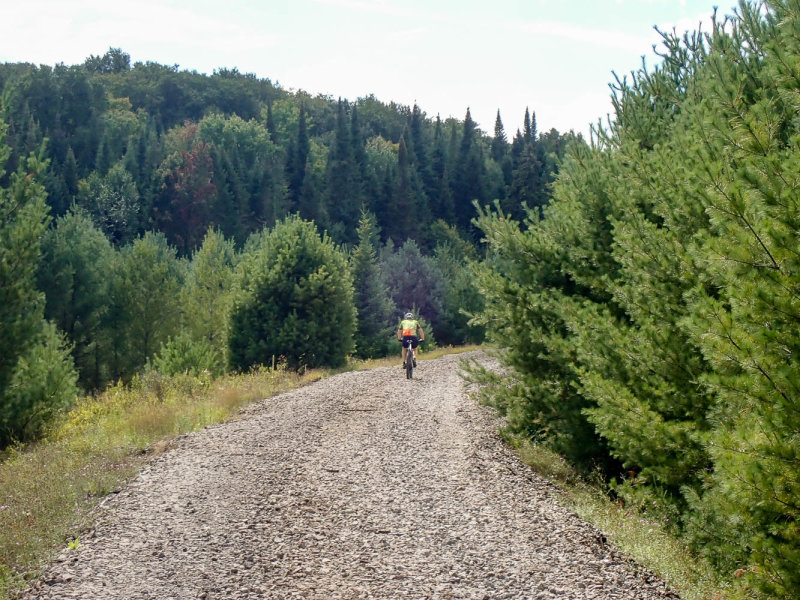 P8306413 TG6MLR2020.jpg