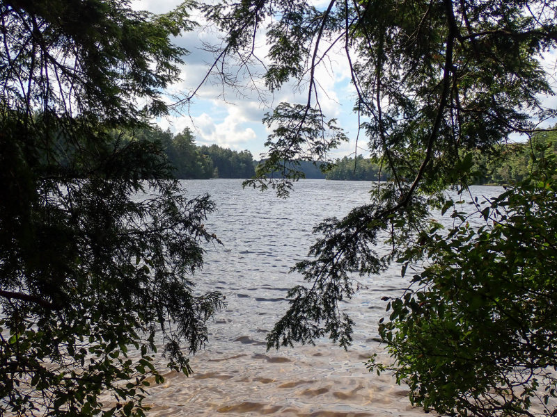 P8306417 TG6MLR2020.jpg