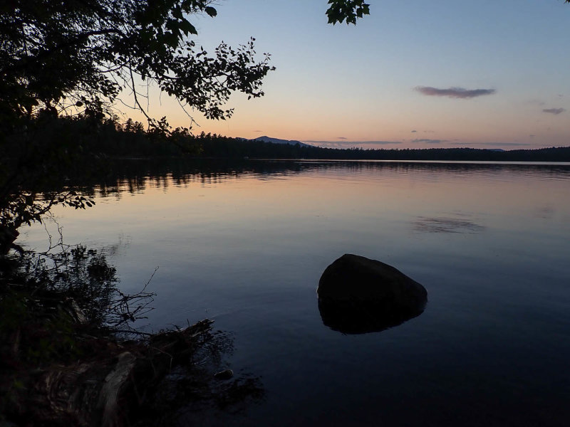 P8306440 TG6MLR2020.jpg