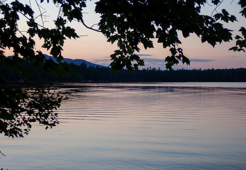 P8306447 TG6MLR2020.jpg