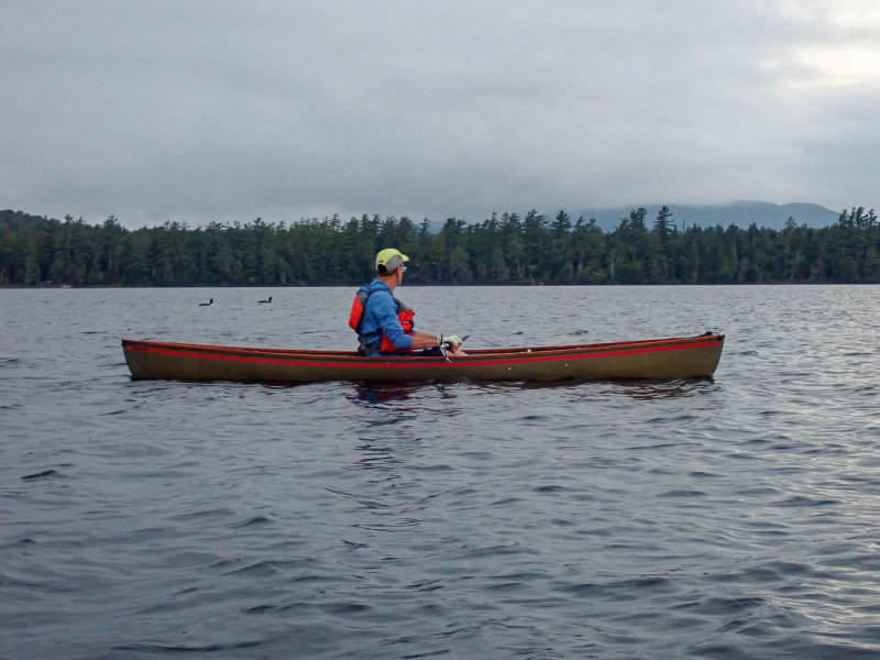 P8316468 TG6MLR2020.jpg
