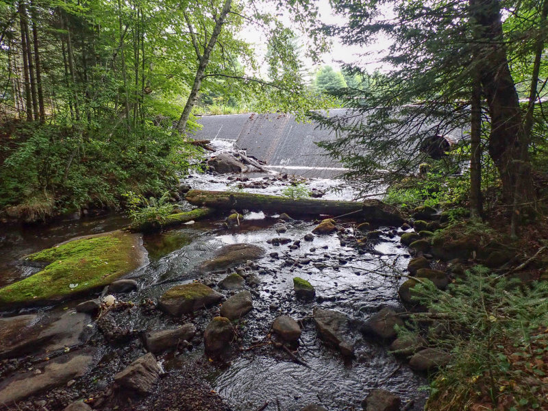 P8316514 TG6MLR2020.jpg