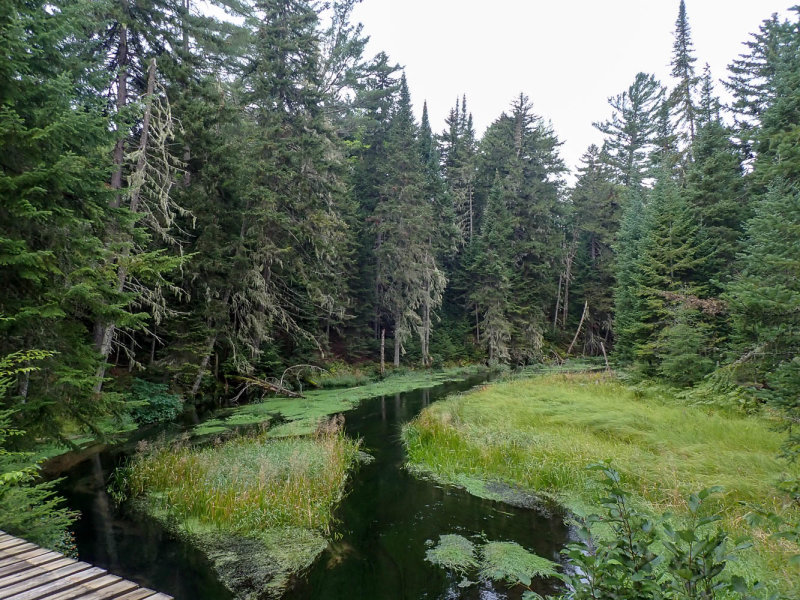 P8316523 TG6MLR2020.jpg