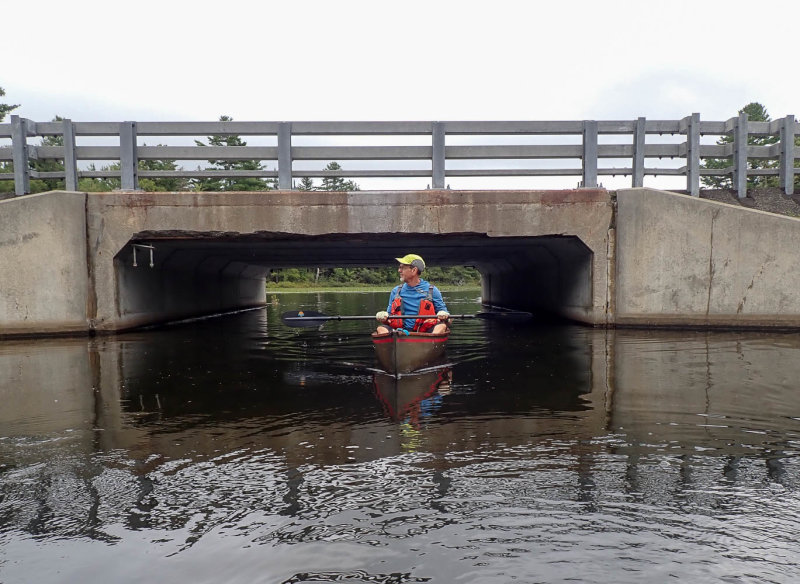 P8316533 TG6MLR2020.jpg