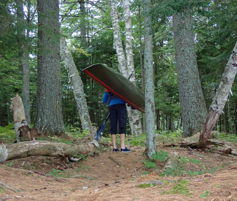 P8316539 TG6MLR2020.jpg