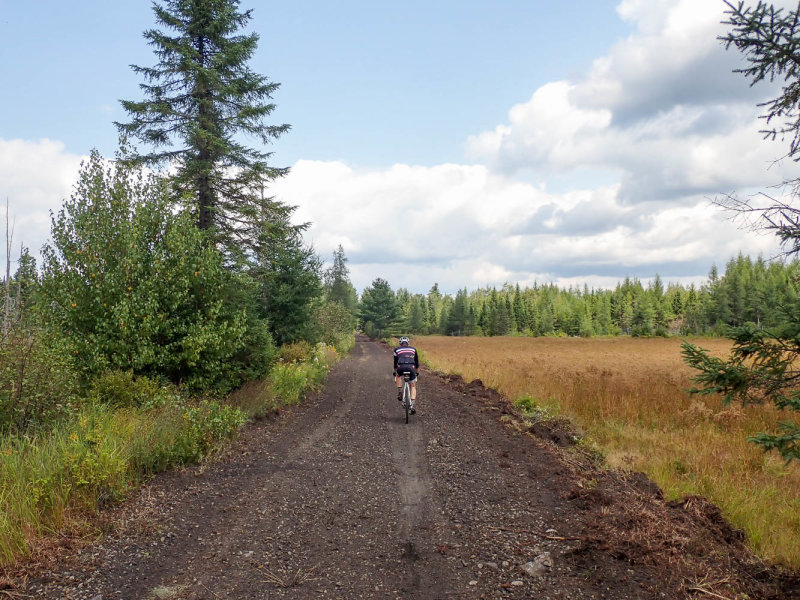 P8316553 TG6MLR2020.jpg