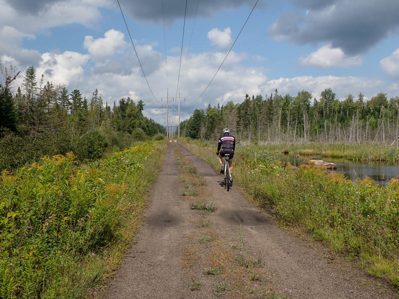 P8316565 TG6MLR2020.jpg
