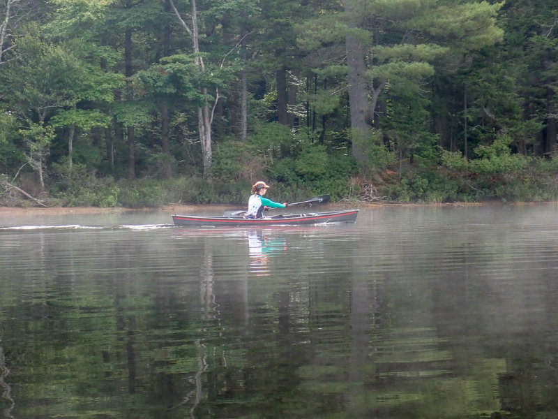 P9010453 MLR2020.jpg