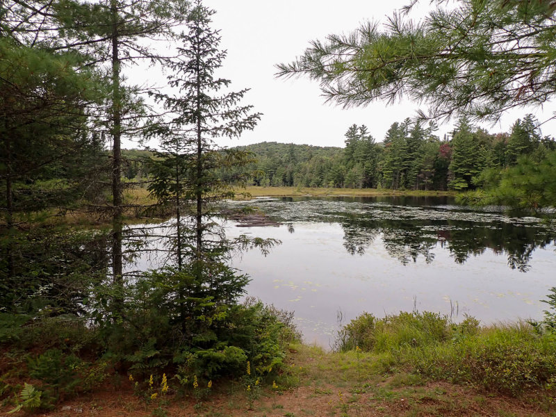 P9016675 TG6MLR2020.jpg