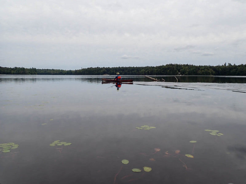 P9016678 TG6MLR2020.jpg