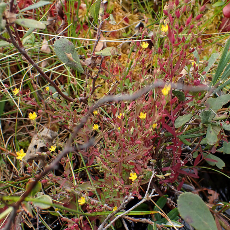 P9016691 TG6MLR2020.jpg