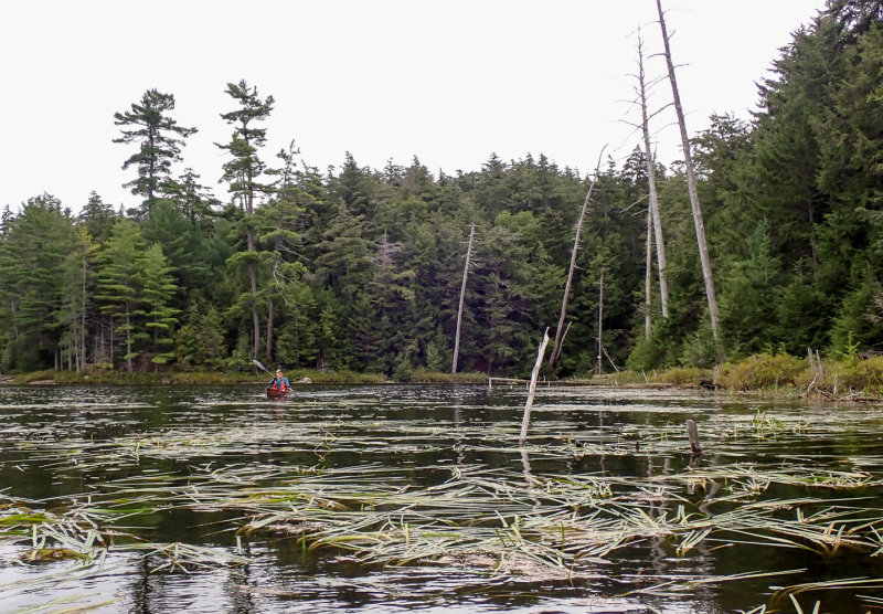 P9026785 TG6MLR2020.jpg