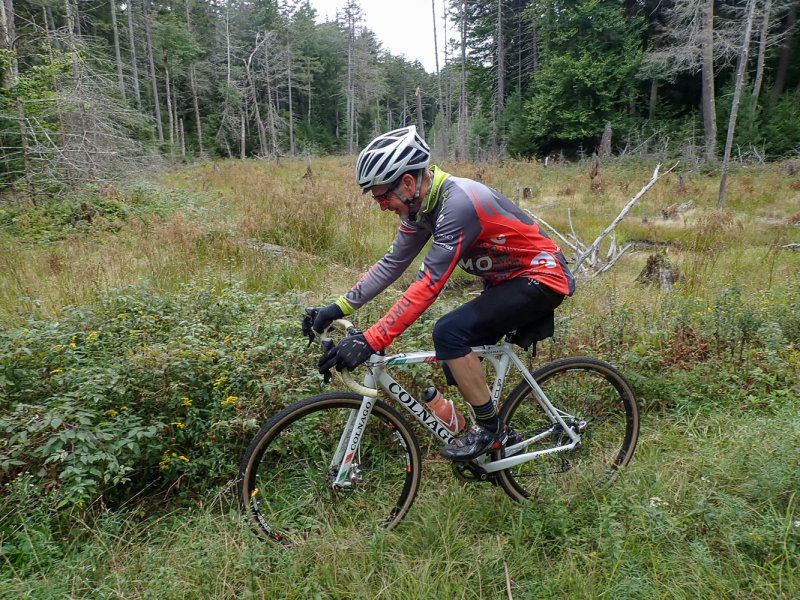 P9026793 TG6MLR2020.jpg