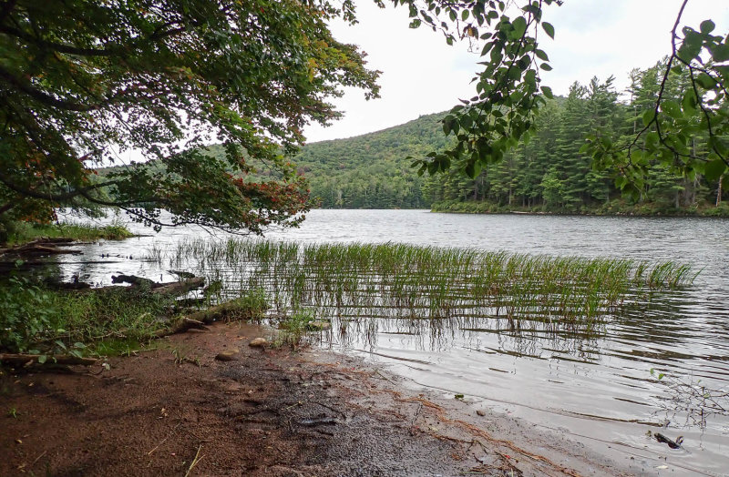P9026822 TG6MLR2020.jpg