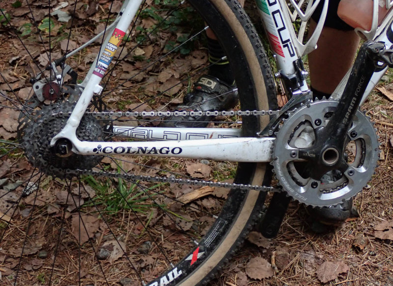 P9026832 TG6MLR2020.jpg
