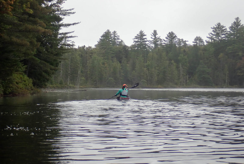 P9030606 MLR2020.jpg