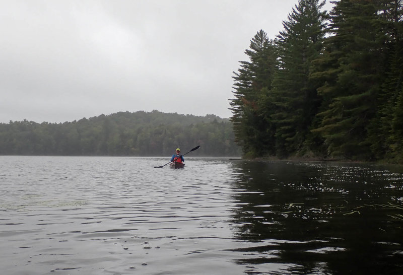 P9036845 TG6MLR2020.jpg