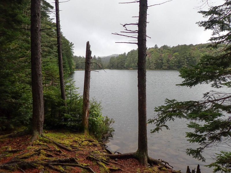 P9036895 TG6MLR2020.jpg