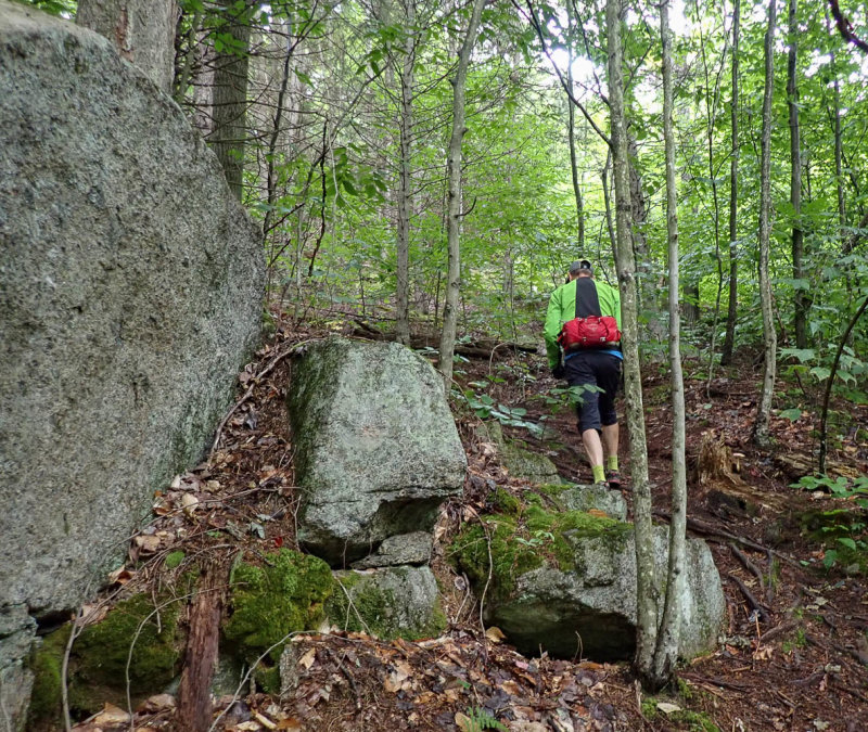 P9036897 TG6MLR2020.jpg