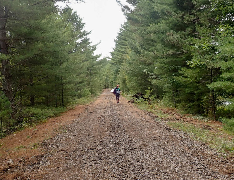 P9010502 MLR2020.jpg