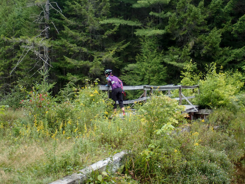 P9020584 MLR2020ps.jpg