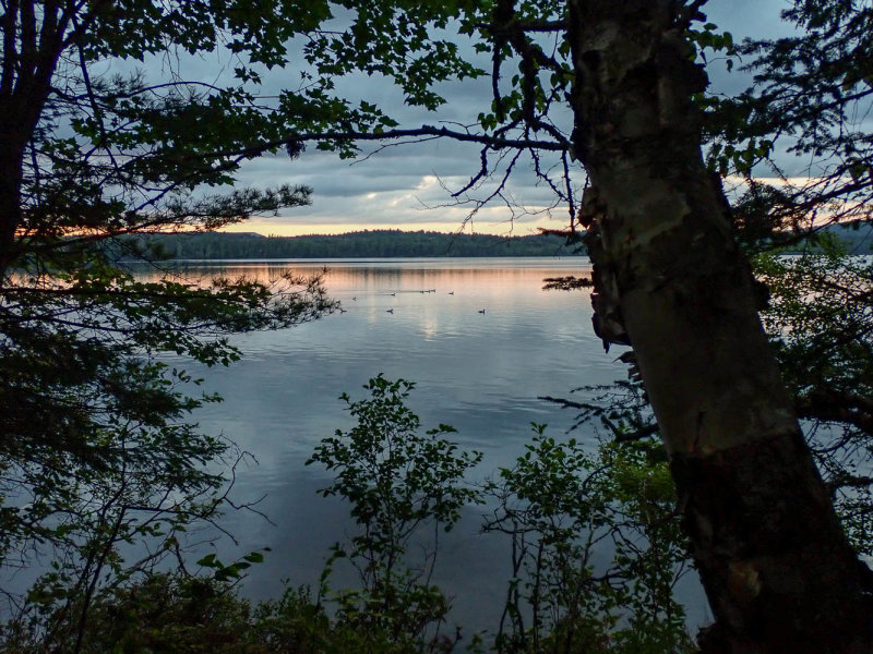 P8316601 TG6MLR2020.jpg