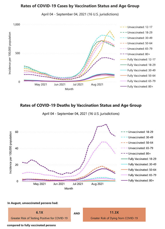 9-4-21 cases and deaths by age.jpg