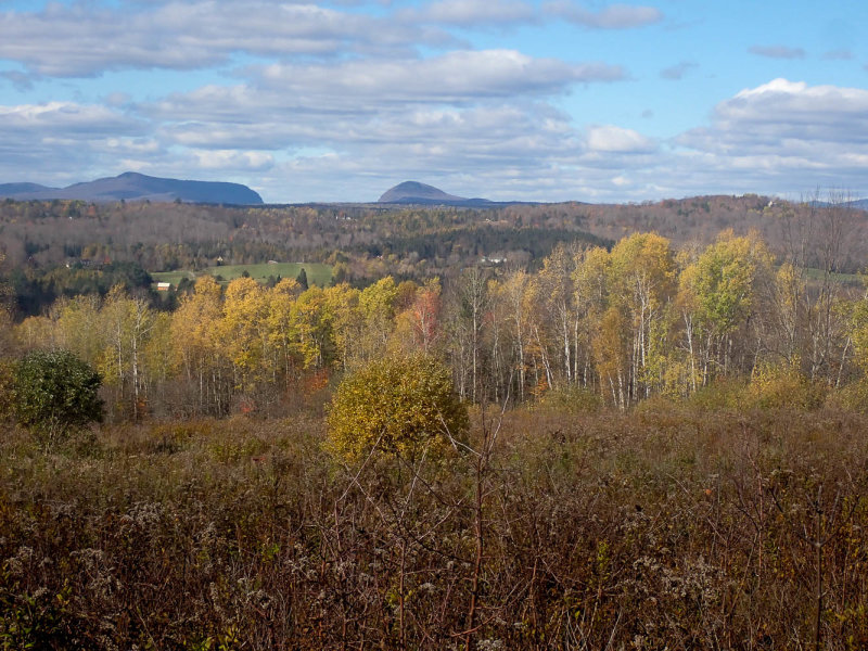 PA247799 TG6MLR2020.jpg