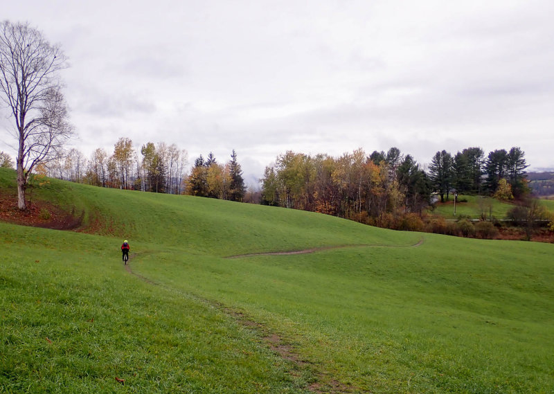 PA250536 MLR2020.jpg