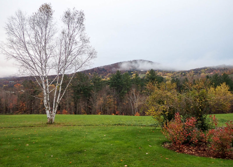 PA257872 TG6MLR2020.jpg